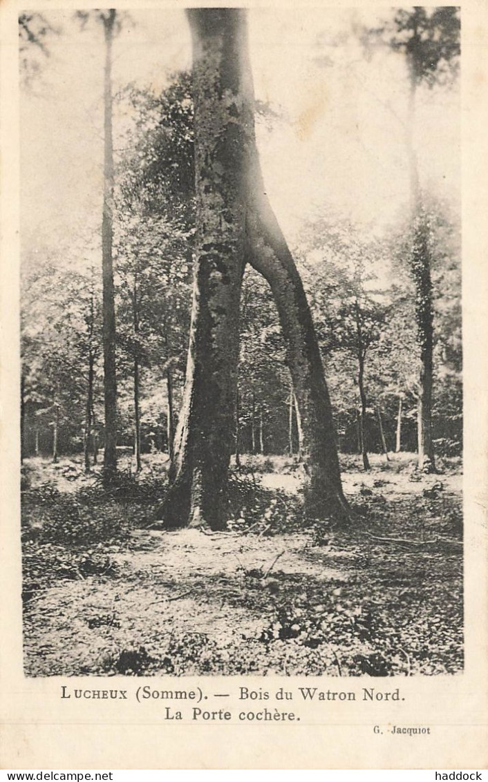 LUCHEUX : BOIS DE WATRON NORD - LA PORTE COCHERE - Lucheux