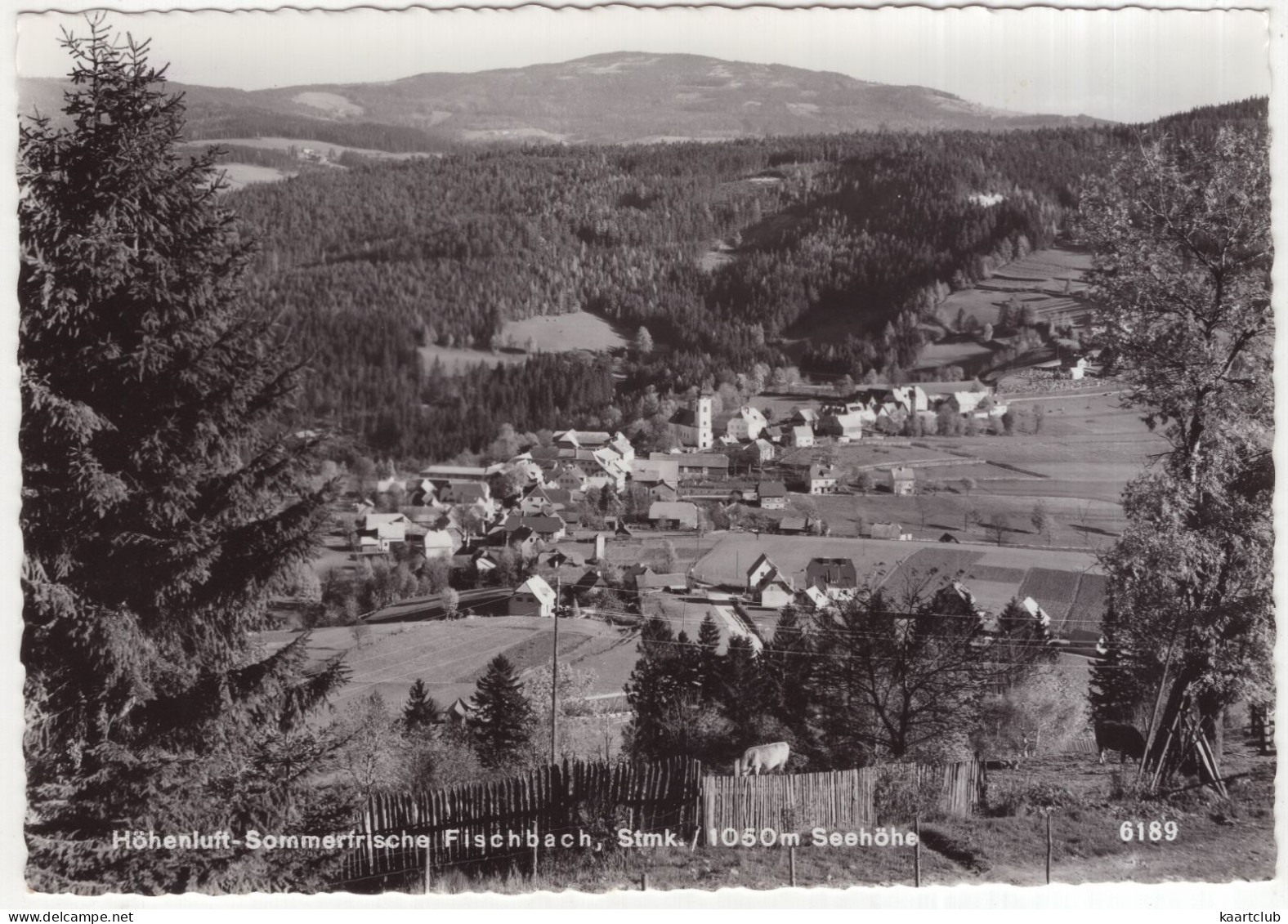 Höhenluft-Sommerfrische Fischbach, Stmk. / 1050 M Seehöhe - (Österreich/Austria) - Weiz