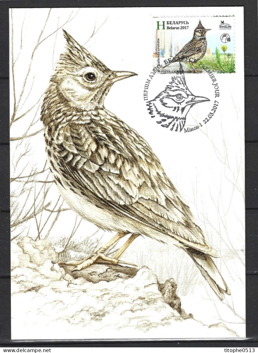 BIELORUSSIE. N°996 De 2017 Sur Carte Maximum. Alouette. - Zangvogels