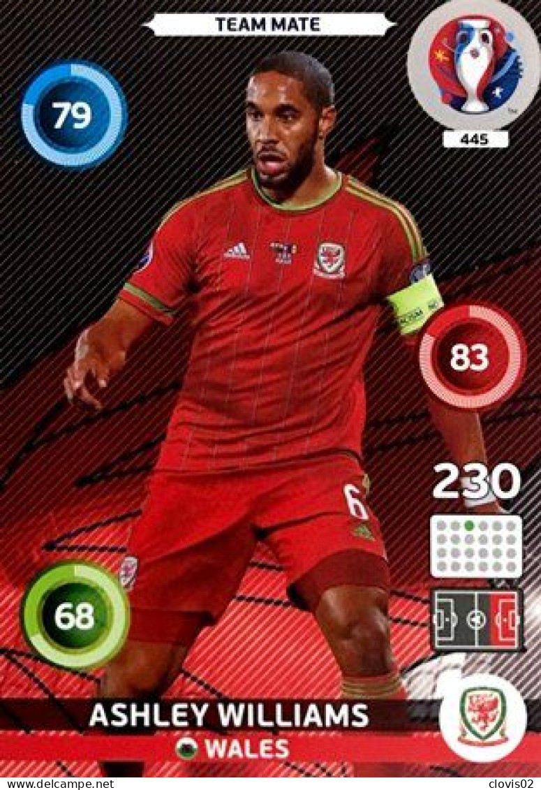 445 Ashley Williams - Wales - Panini Adrenalyn XL UEFA Euro 2016 Carte Football - Trading Cards