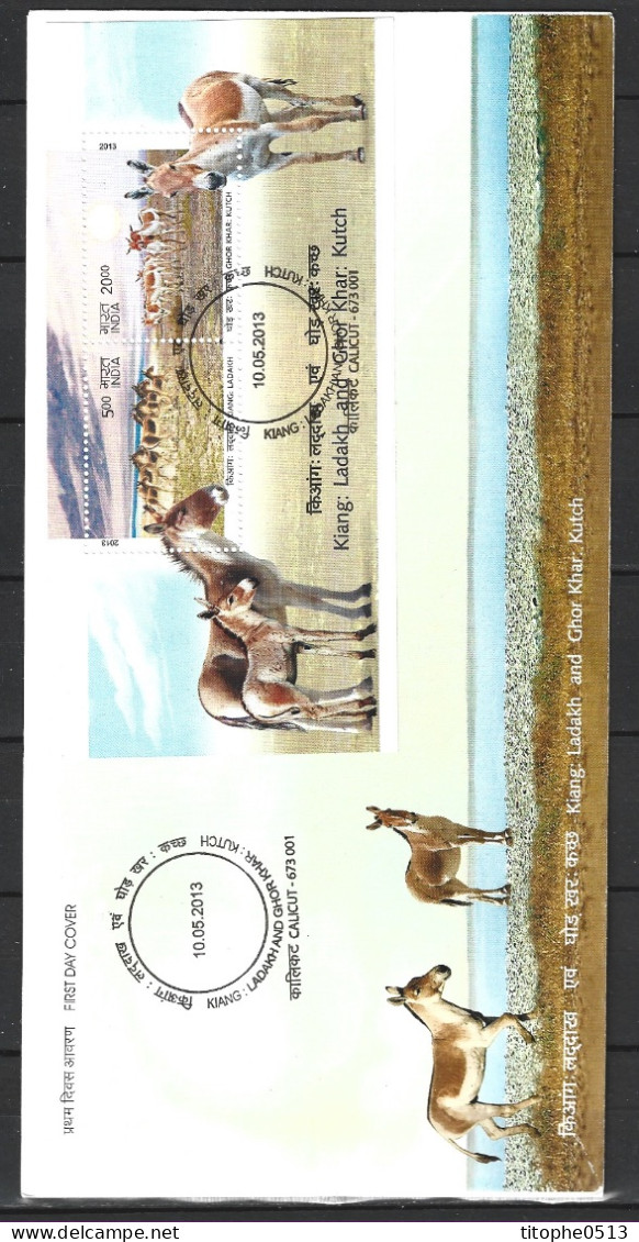 INDE. BF 104 De 2013 Sur Enveloppe 1er Jour. Ane Sauvage. - Burros Y Asnos