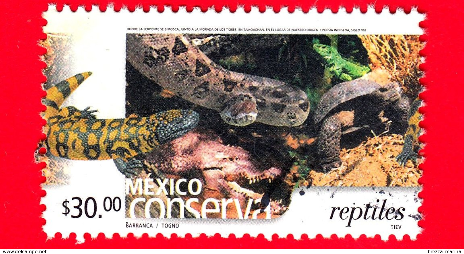 MESSICO -  Usato - 2004 - Mexico Conserva - Conservazione Del Messico - Rettili - Reptiles - 30.00 - México