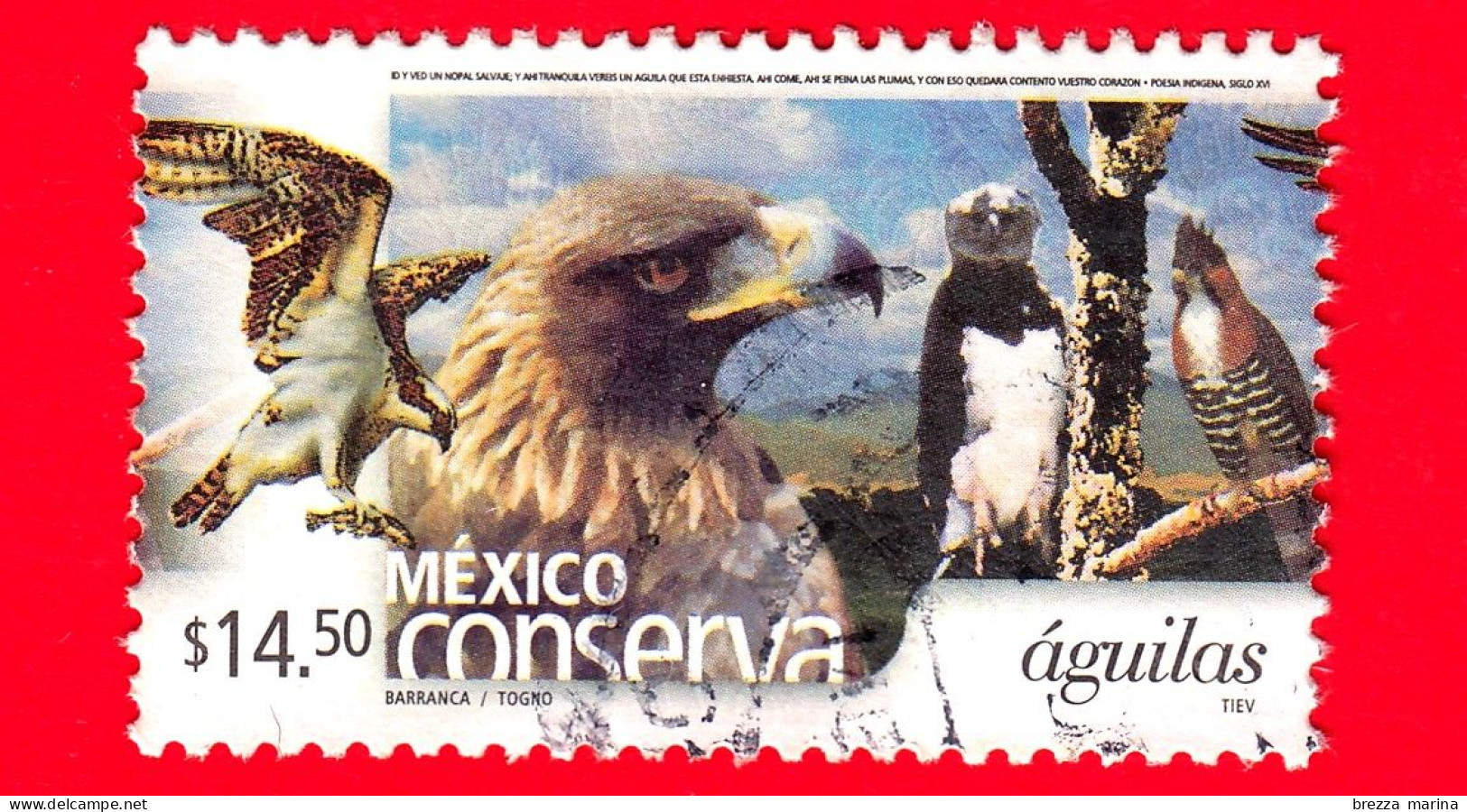 MESSICO - Usato - 2005 - Mexico Conserva - Conservazione Del Messico - Aquile - Aguilas - 14.50 - México