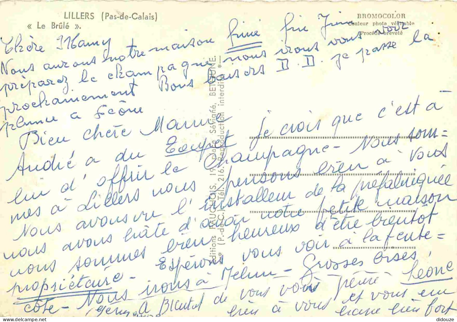 62 - Lillers - Multivues - Mention Photographie Véritable - Carte Dentelée - CPSM Grand Format - Voir Scans Recto-Verso - Lillers