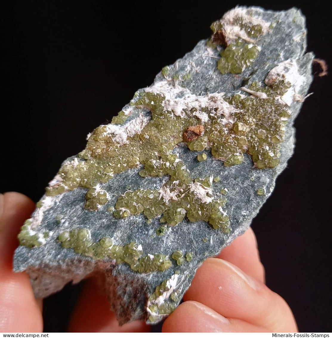 #I41 Andradit Granat Var. DEMANTOID Kristalle (Val Malenco, Sondrio, Italien) - Minerales