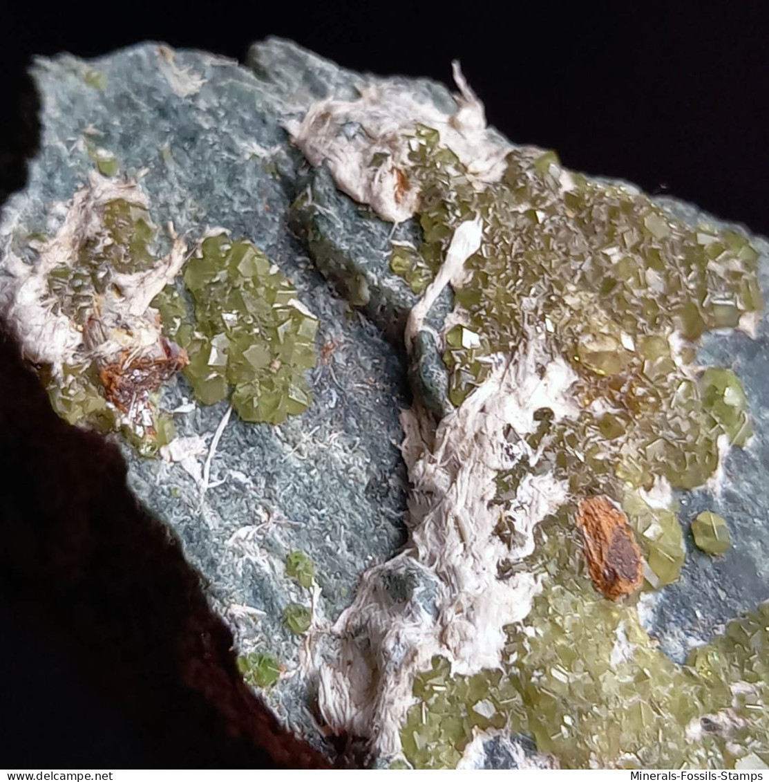 #I41 Andradit Granat Var. DEMANTOID Kristalle (Val Malenco, Sondrio, Italien) - Mineralien