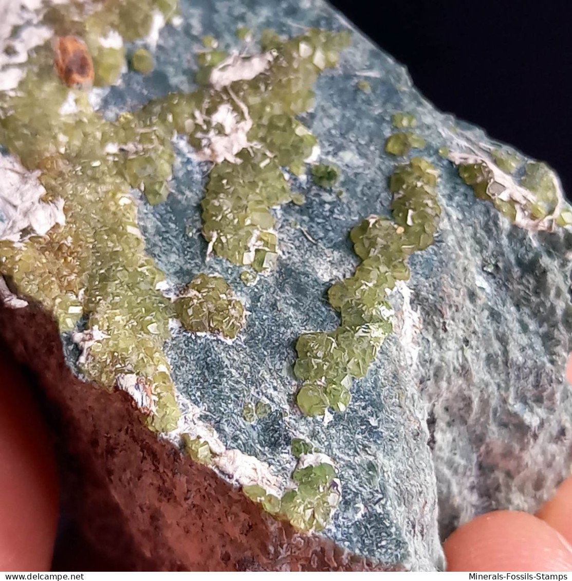 #I41 Andradit Granat Var. DEMANTOID Kristalle (Val Malenco, Sondrio, Italien) - Mineralien