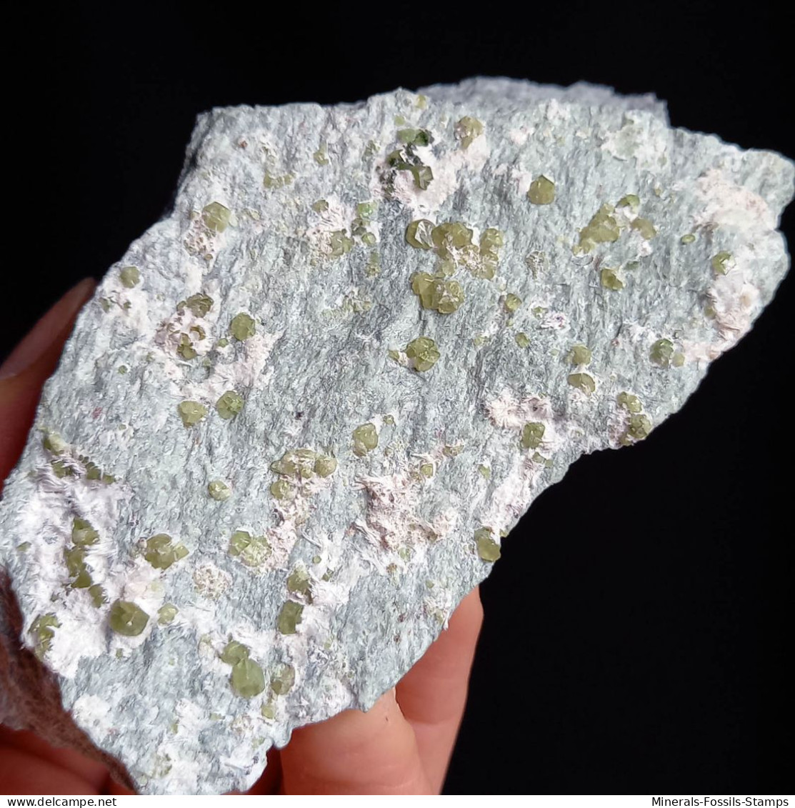 #I42 Andradit Granat Var. DEMANTOID Kristalle (Val Malenco, Sondrio, Italien - Mineralen