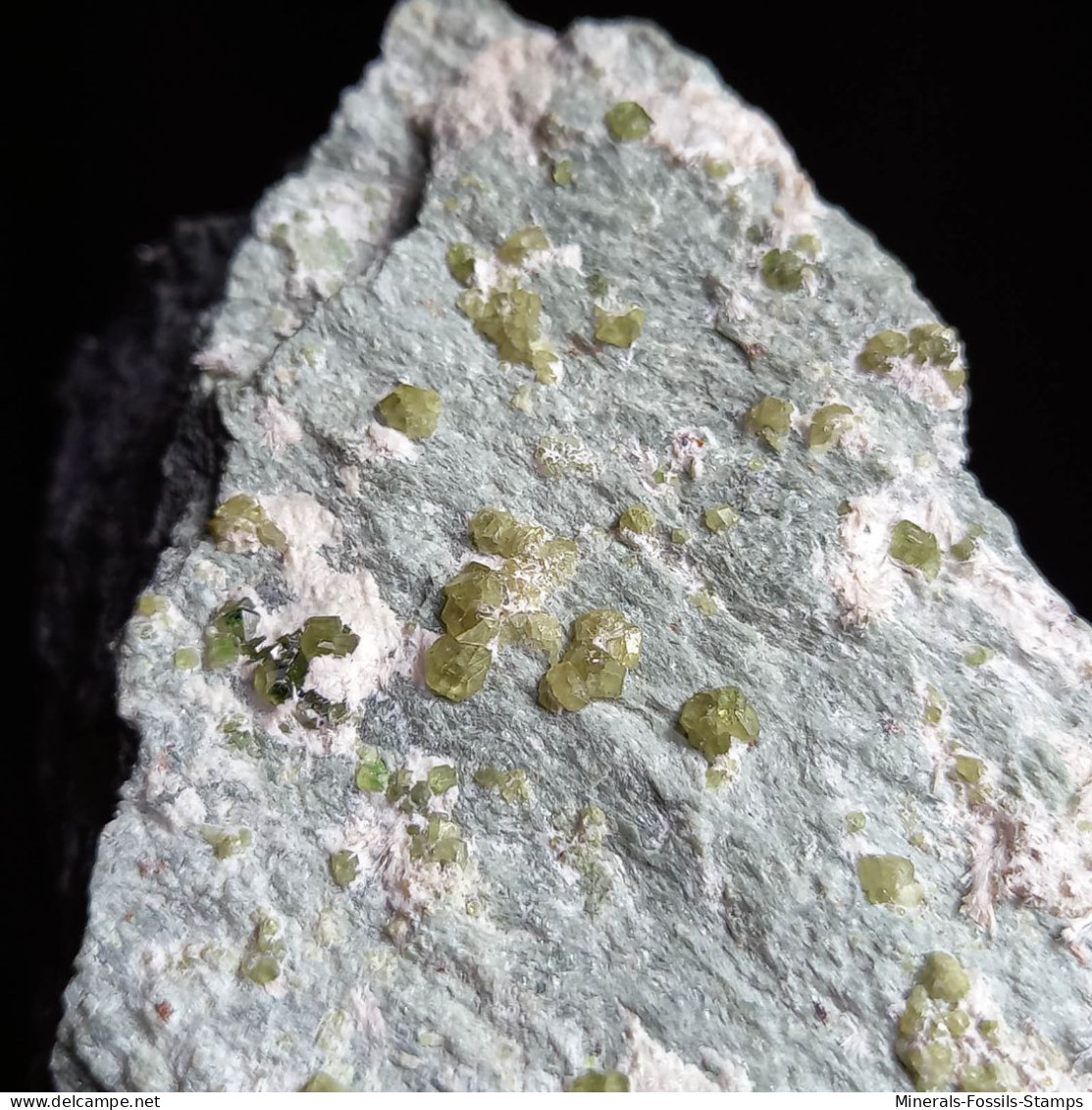 #I42 Andradit Granat Var. DEMANTOID Kristalle (Val Malenco, Sondrio, Italien - Mineralien