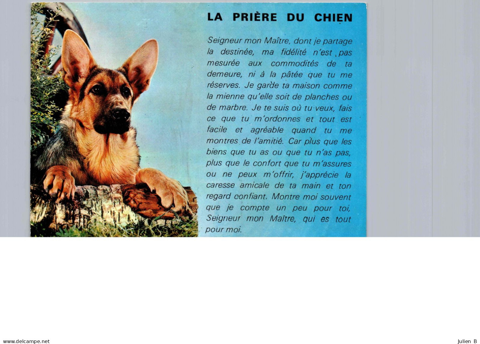 La Prière Du Chien, à Mon Maitre ! - Philosophy