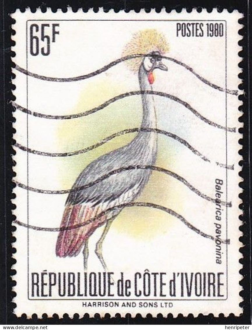 Timbre-poste Dentelé Oblitéré - Oiseaux Et échassiers Grue Couronnée (Balearica Pavonina) - N° 565C (Yvert) - RCI 1980 - Côte D'Ivoire (1960-...)