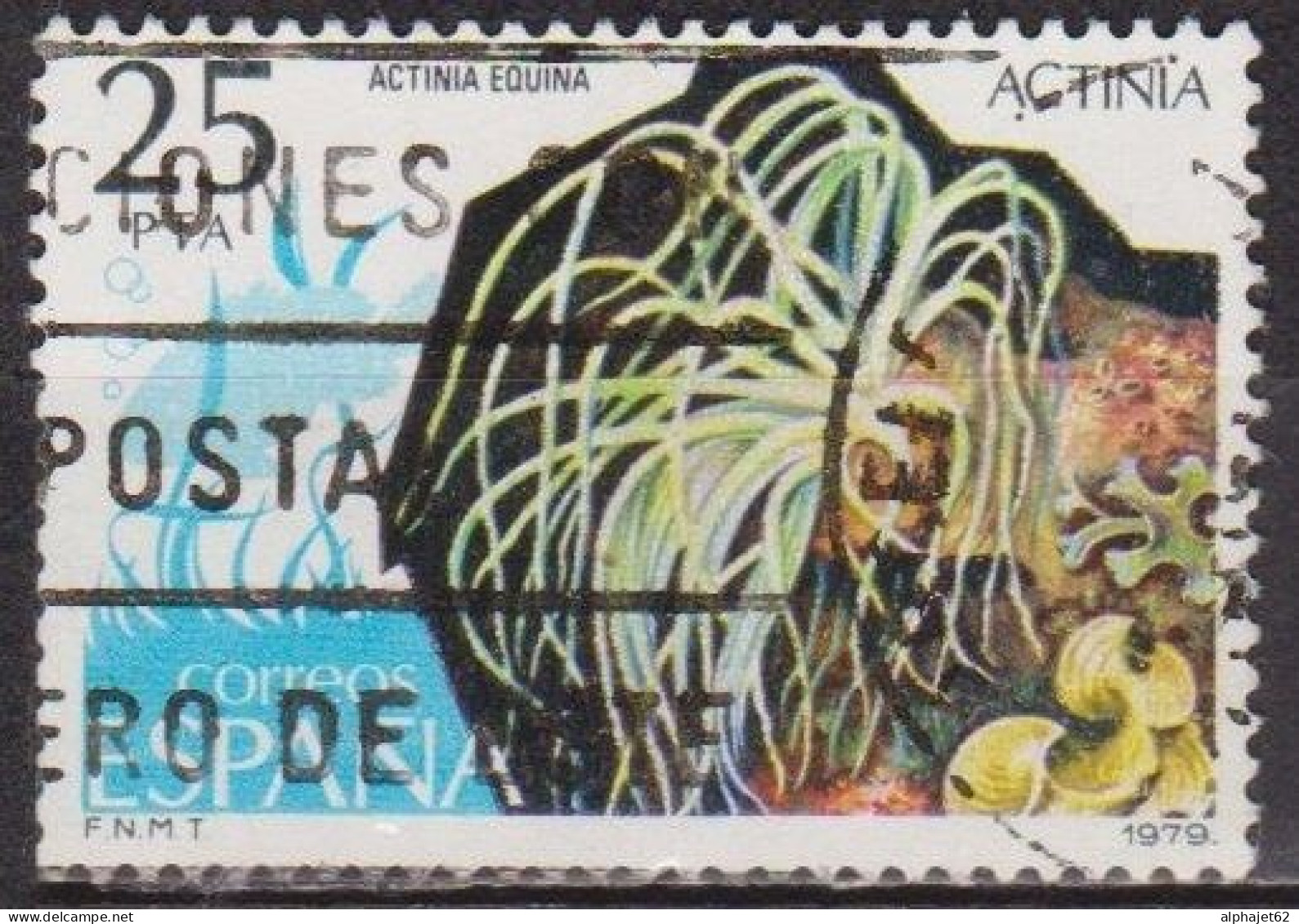 Actinie - ESPAGNE - Faune - N° 2177 - 1979 - Used Stamps