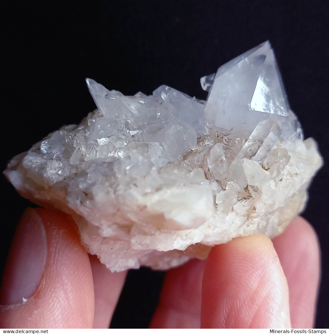 #L35 Splendido QUARZO Cristalli (Castagnola, Val D'Aveto, Piacenza, Emilia Romagna, Italia) - Minerali