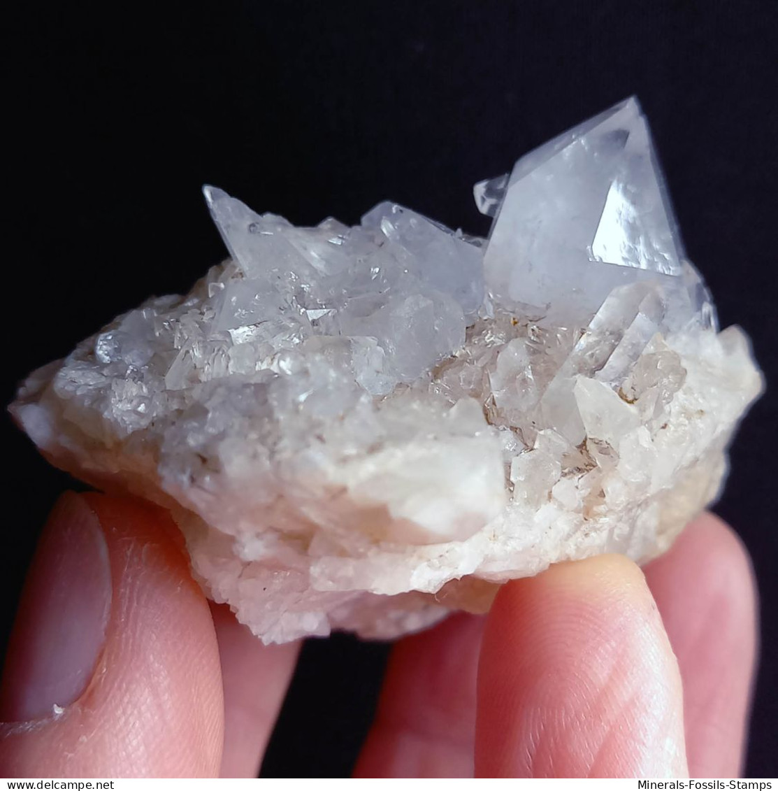 #L35 Splendido QUARZO Cristalli (Castagnola, Val D'Aveto, Piacenza, Emilia Romagna, Italia) - Minerales