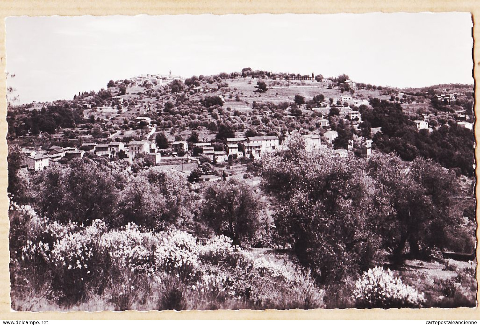 22813 / Peu Commun MOUGINS (06) Quartier LES BARRAQUES Et  Vue Générale 1950s Photo-Bromure C.A.P Rue Trachel Nice - Mougins