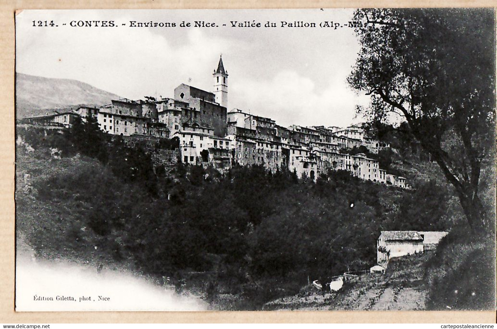 22787 / CONTES 1900s Village Vallée Du PAILLON Environs De NICE  Alpes Maritimes -  GILETTA 1214 Etat PARFAIT - Contes