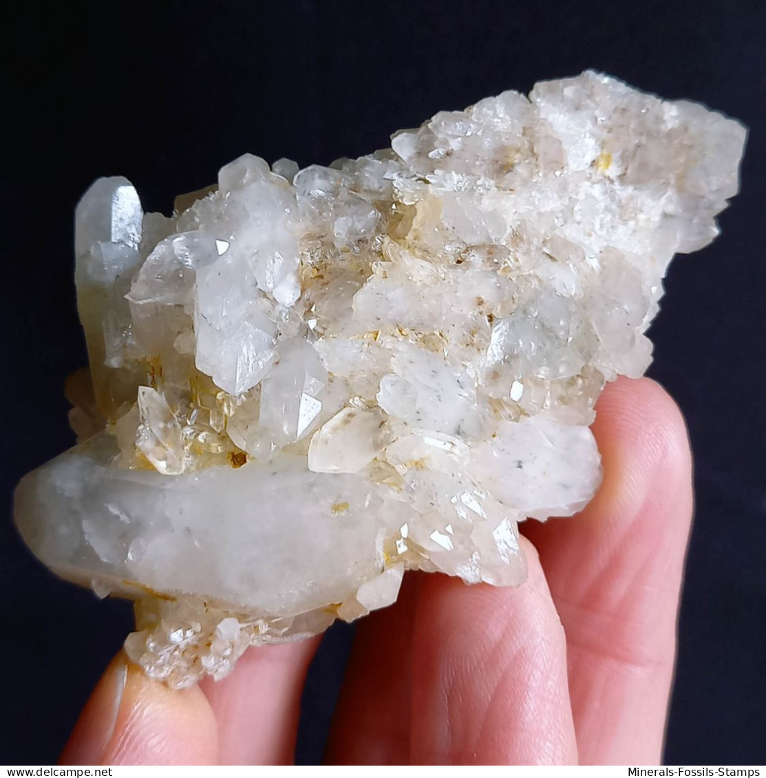#L37 Splendido QUARZO Cristalli (Castagnola, Val D'Aveto, Piacenza, Emilia Romagna, Italia) - Minerali