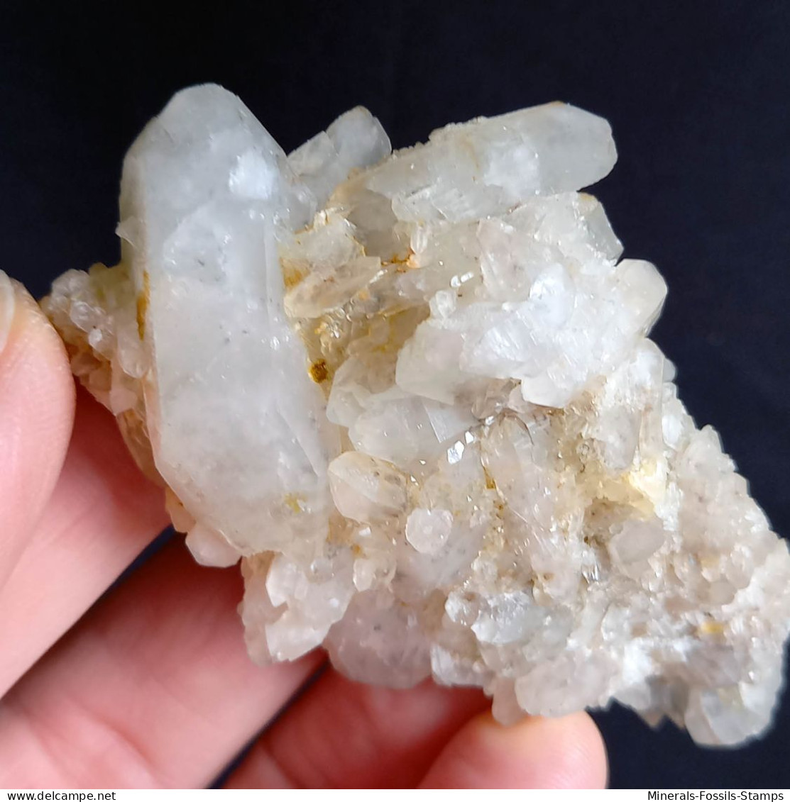 #L37 Splendido QUARZO Cristalli (Castagnola, Val D'Aveto, Piacenza, Emilia Romagna, Italia) - Mineralien