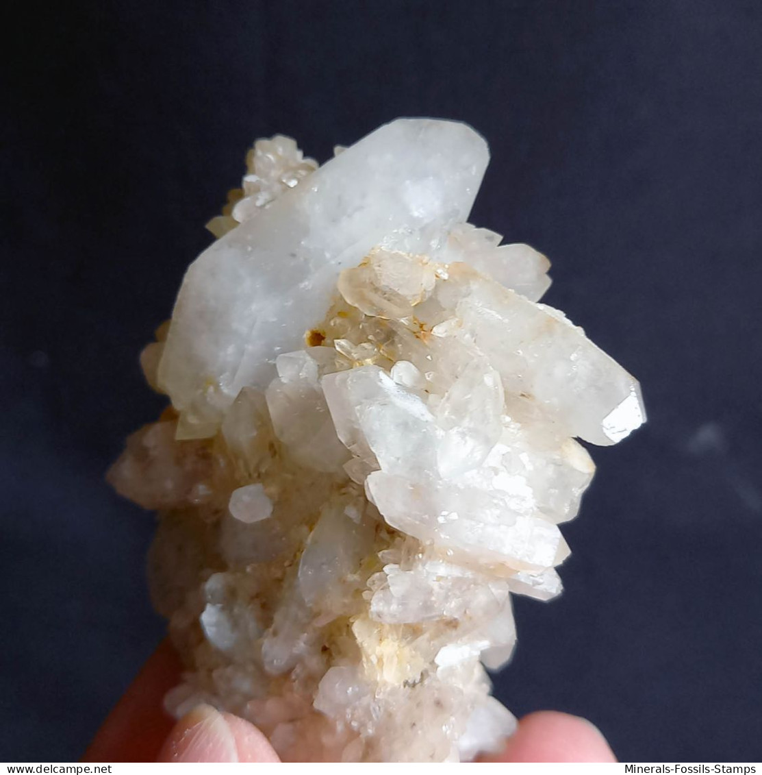 #L37 Splendido QUARZO Cristalli (Castagnola, Val D'Aveto, Piacenza, Emilia Romagna, Italia) - Mineralen