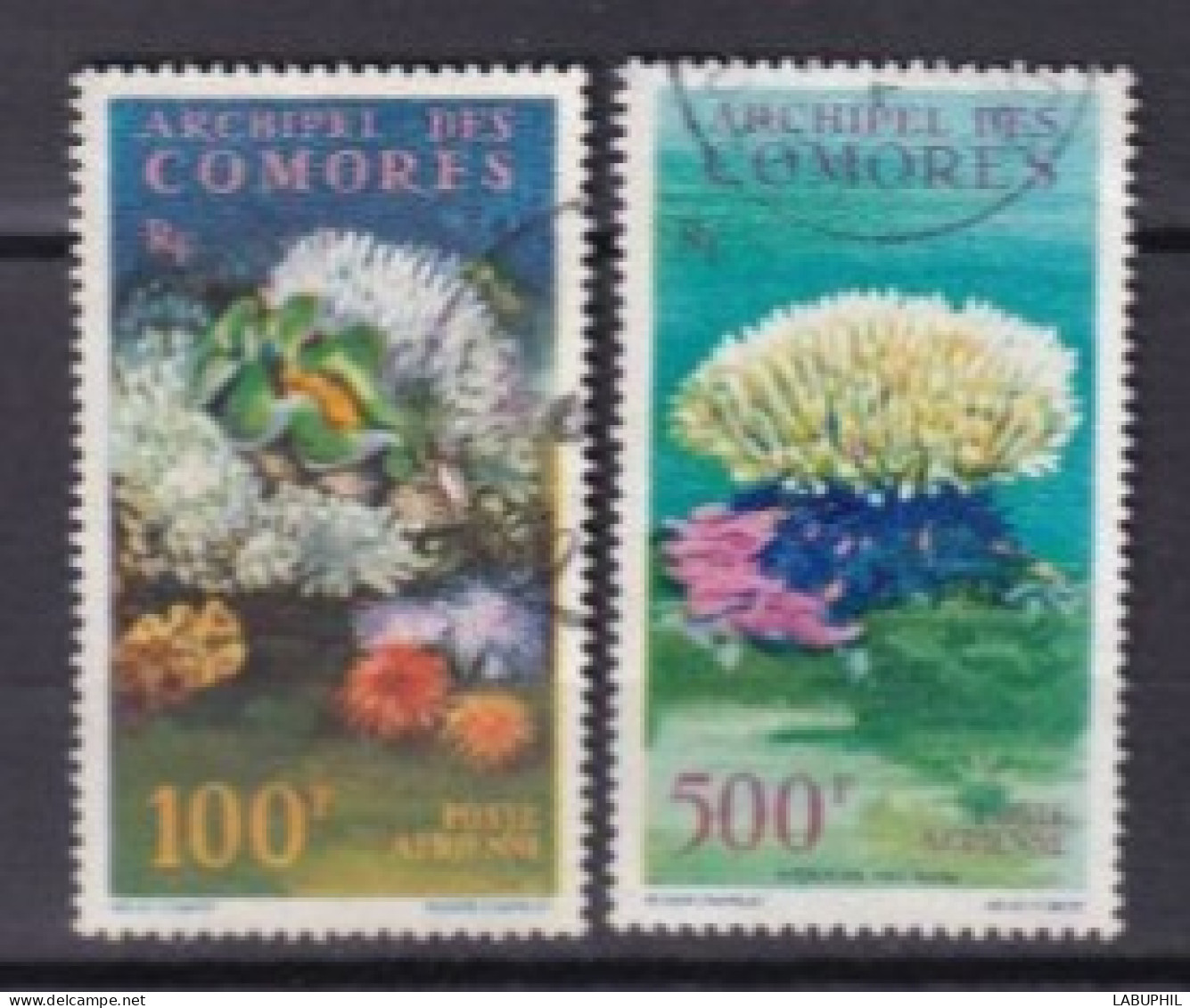 COMORES Oblitéré Used Poste Aerienne 1962 Faune Marine - Used Stamps