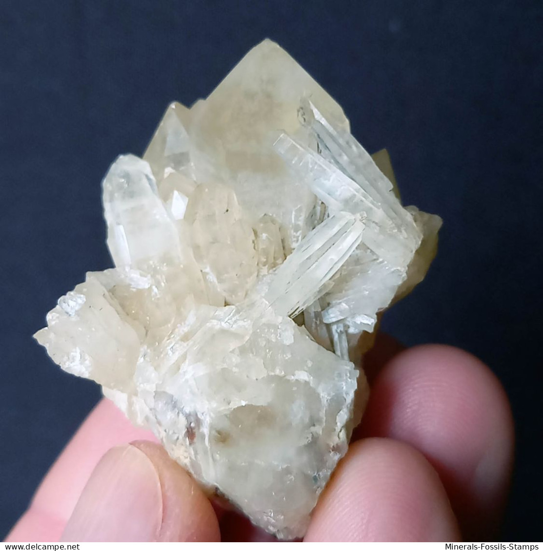 #L38 Schöne QUARZ Kristall-Mittelgeode (Val D'Aosta, Italien) - Minerali