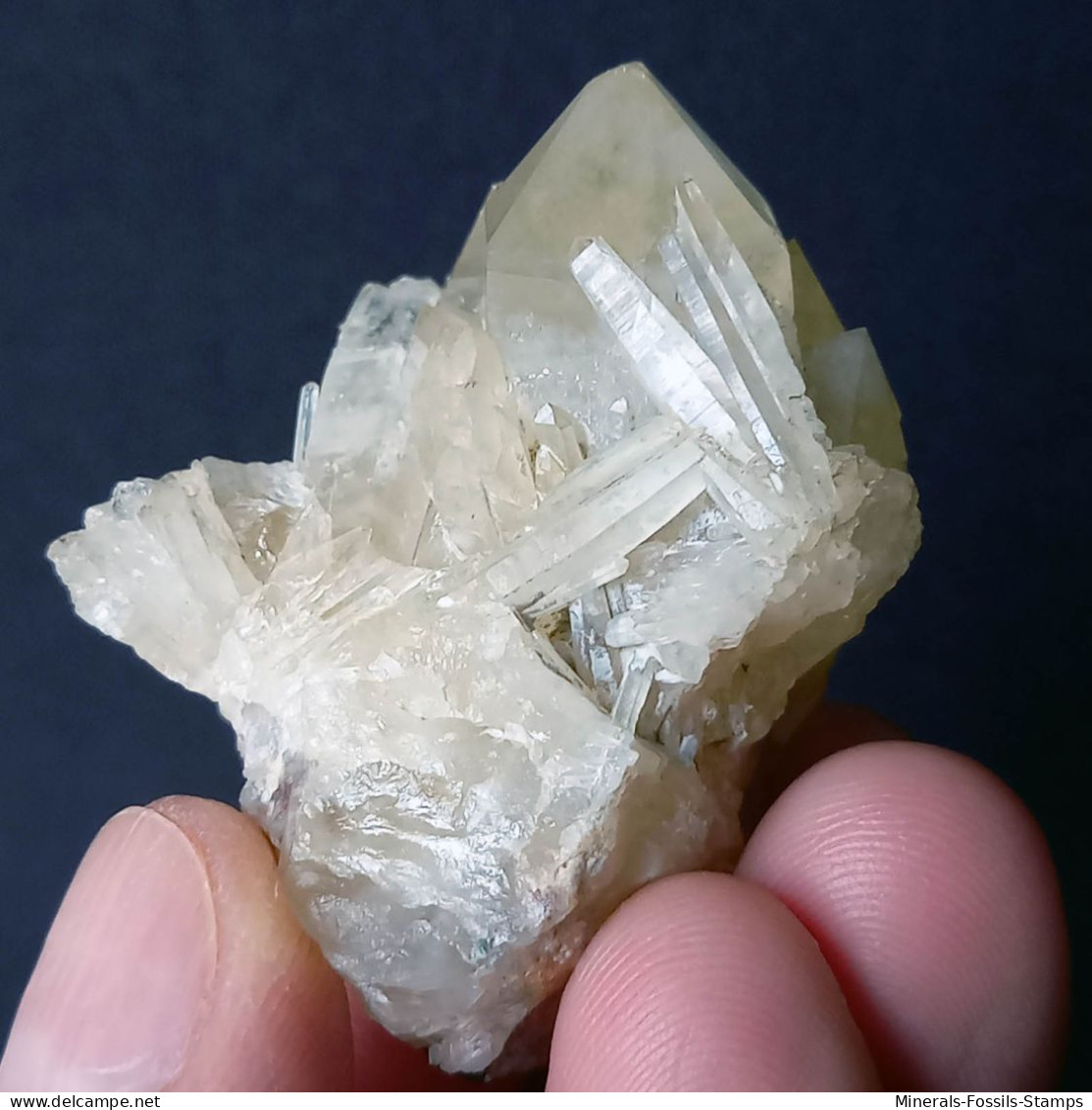 #L38 Schöne QUARZ Kristall-Mittelgeode (Val D'Aosta, Italien) - Minerales