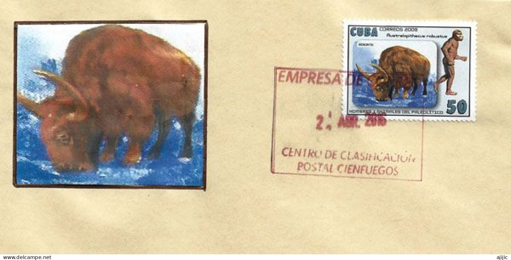 Le Bison & L'Australopithèque,sur Lettre De Cienfuegos (Cuba) - Vacas