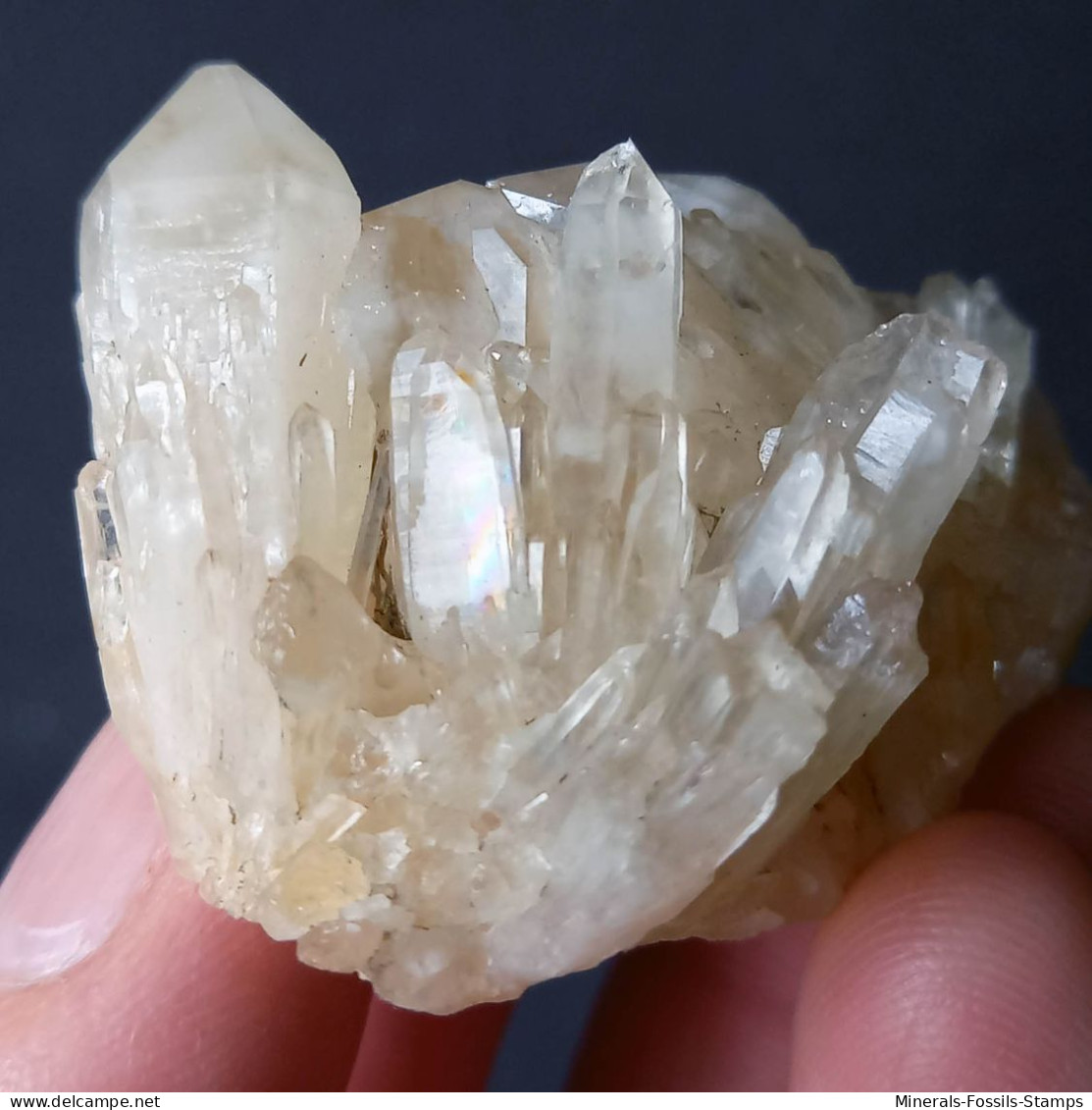 #L39 Schöne QUARZ Kristall-Mittelgeode (Val D'Aosta, Italien) - Minerali