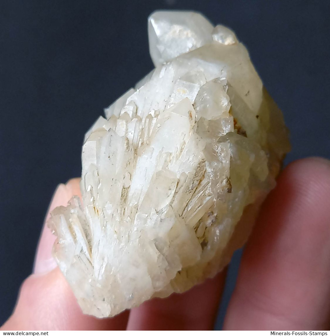 #L39 Schöne QUARZ Kristall-Mittelgeode (Val D'Aosta, Italien) - Minerals