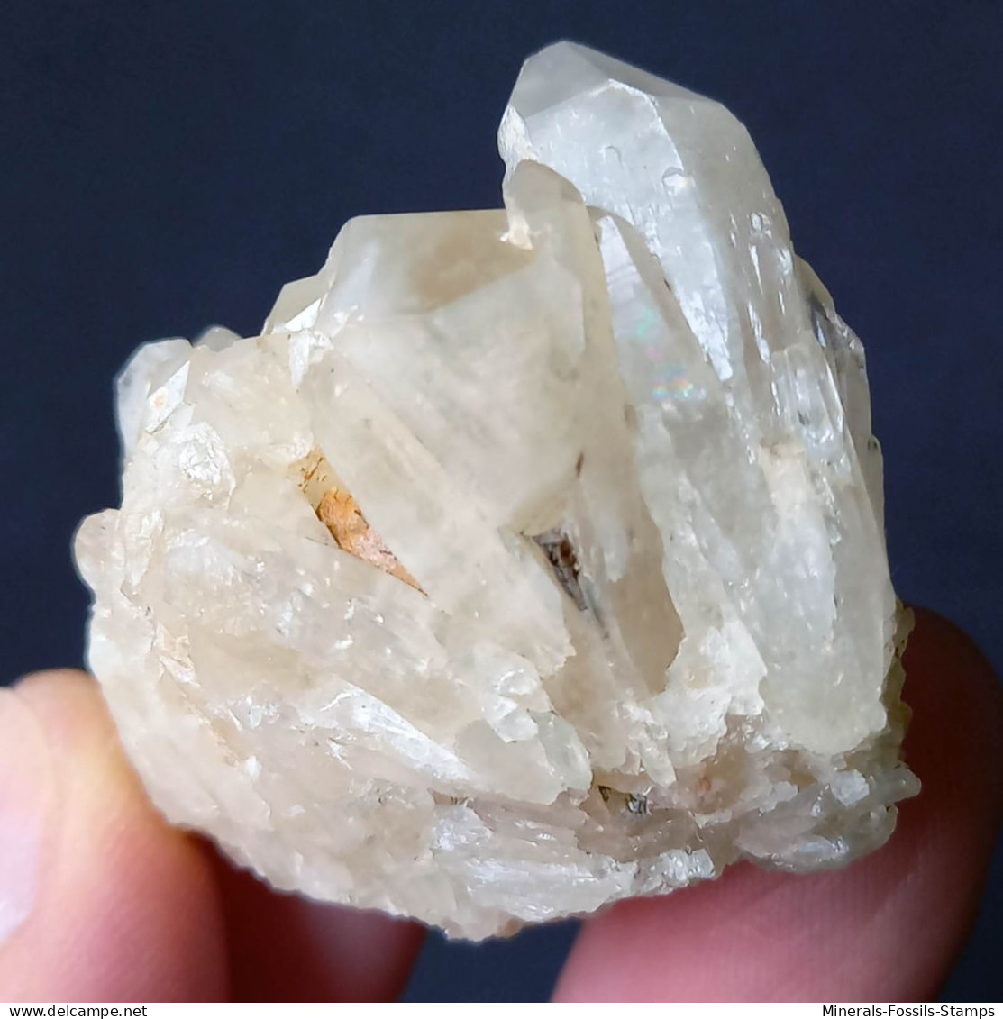 #L39 Schöne QUARZ Kristall-Mittelgeode (Val D'Aosta, Italien) - Mineralen