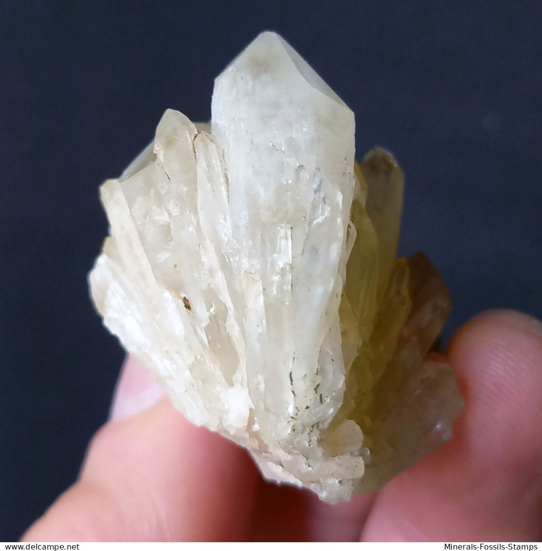 #L39 Schöne QUARZ Kristall-Mittelgeode (Val D'Aosta, Italien) - Minéraux