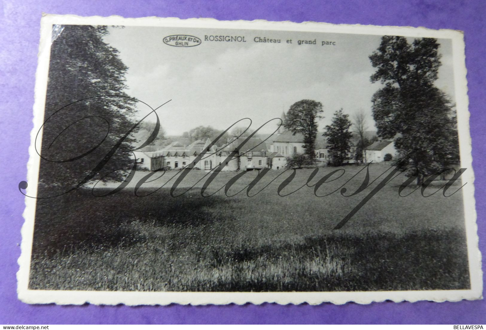 Rossignol Chateau Et Parc 1963 - Tintigny