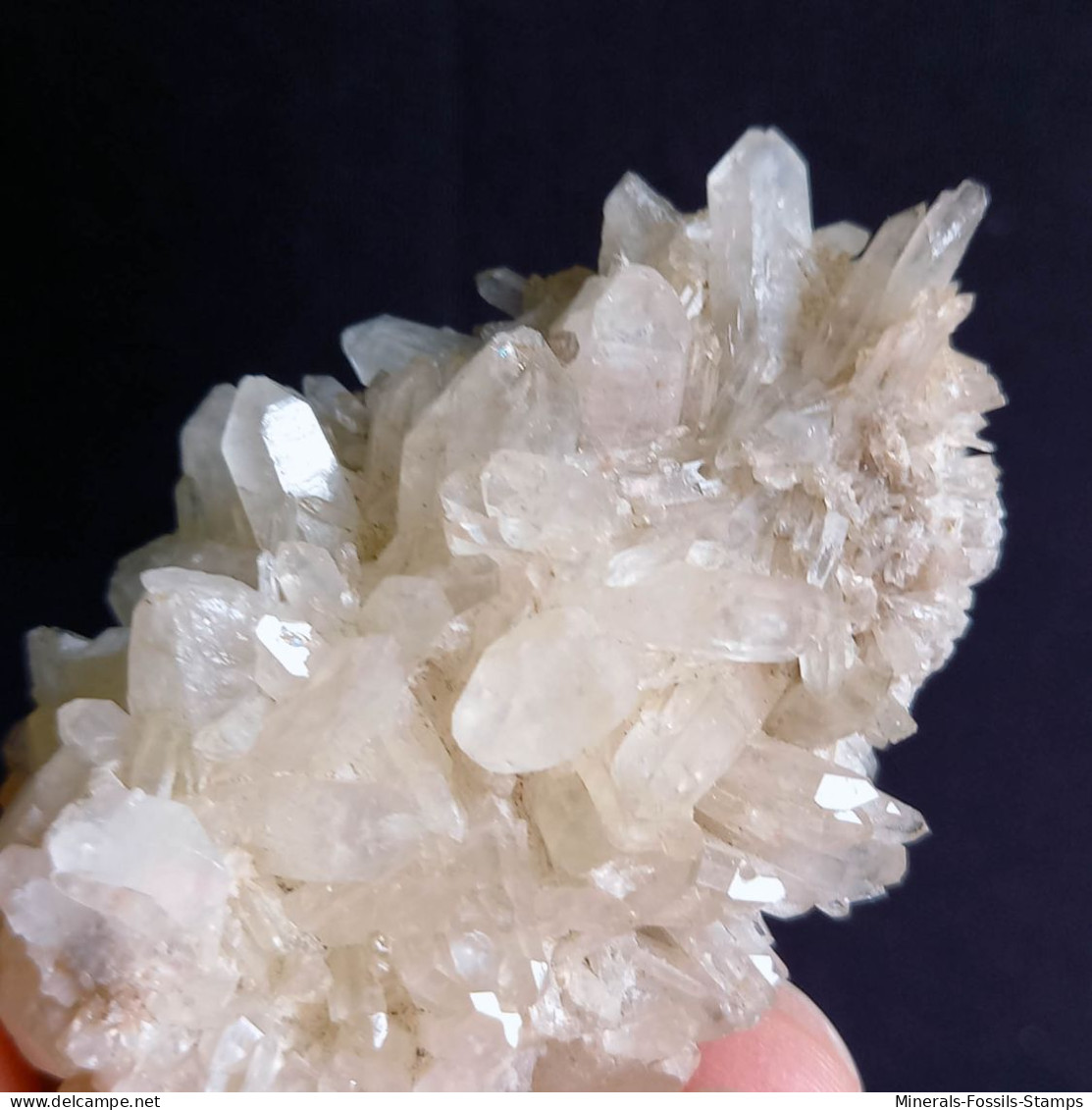 #L40 Splendid QUARTZ crystals center-geode (Val d'Aosta, Italy)