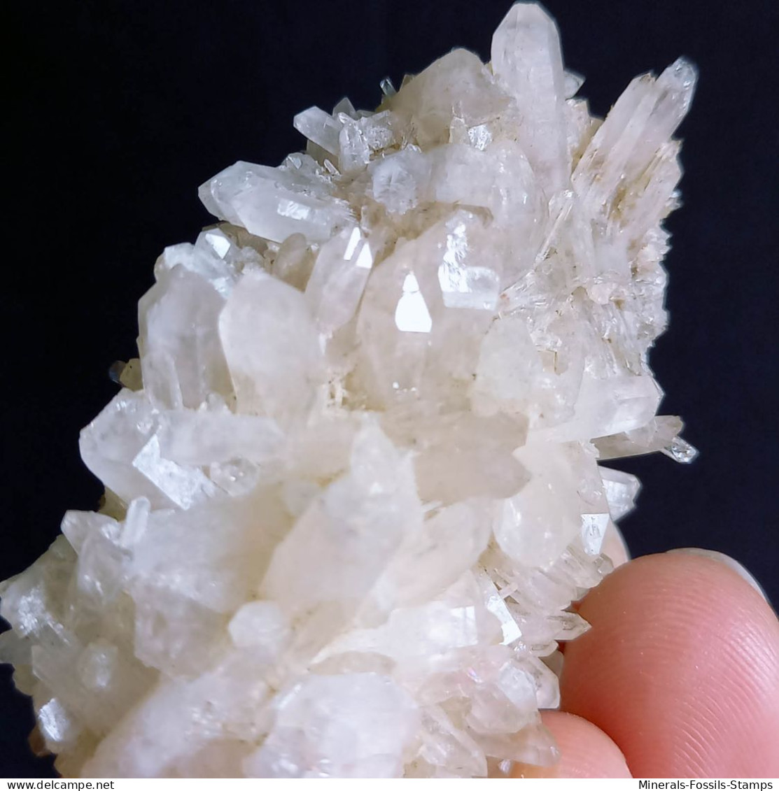 #L40 Splendid QUARTZ crystals center-geode (Val d'Aosta, Italy)