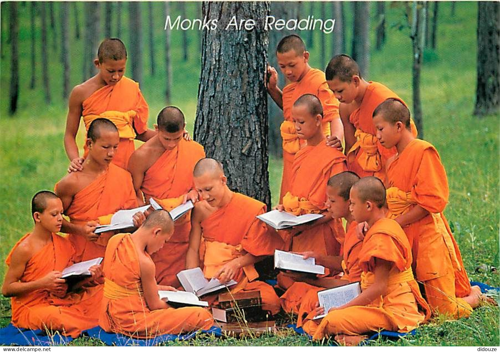 Thailande - Monks Are Reading - Moines Boudhistes - Carte Neuve - Thailand - CPM - Voir Scans Recto-Verso - Tailandia