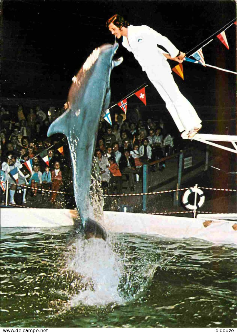 Animaux - Rust Baden - Europa Park - Freizeit Und Familienpark - Florida Delphin-Show - Spectacle De Dauphins - Dolphins - Dolphins