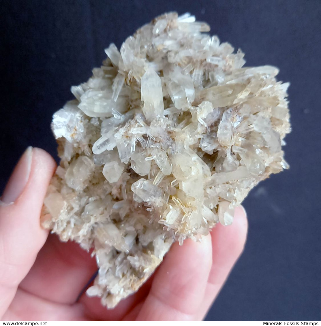 #L45 Splendide Cristaux De QUARTZ (Val D'Aosta, Italie) - Mineralien
