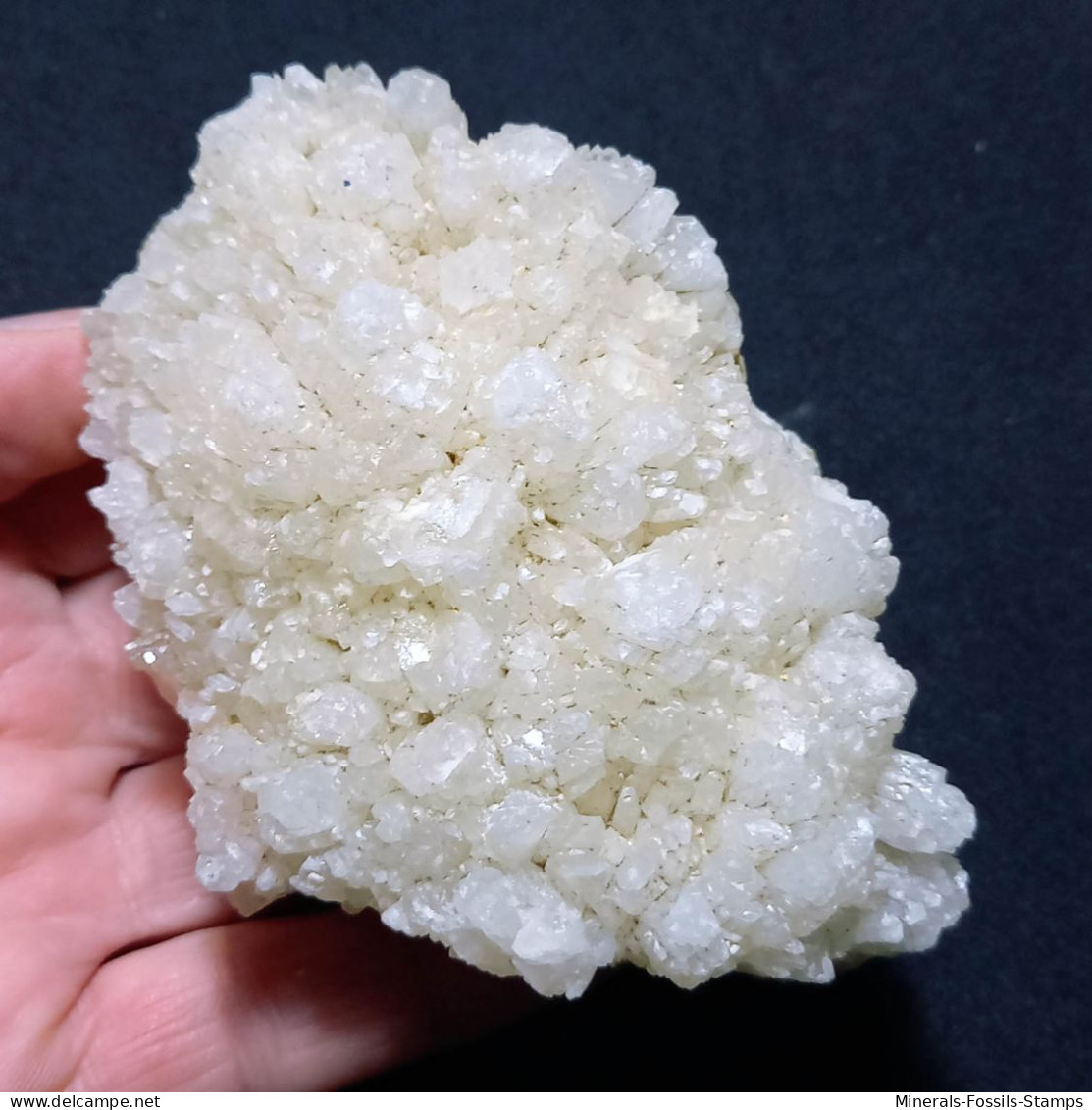 #L134 Wunderschöne COELESTIN Kristalle (Agrigento, Sizilien, Italien) - Minerali