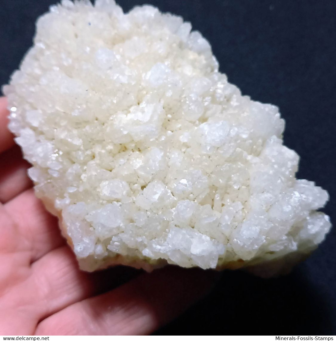 #L134 Wunderschöne COELESTIN Kristalle (Agrigento, Sizilien, Italien) - Mineralen