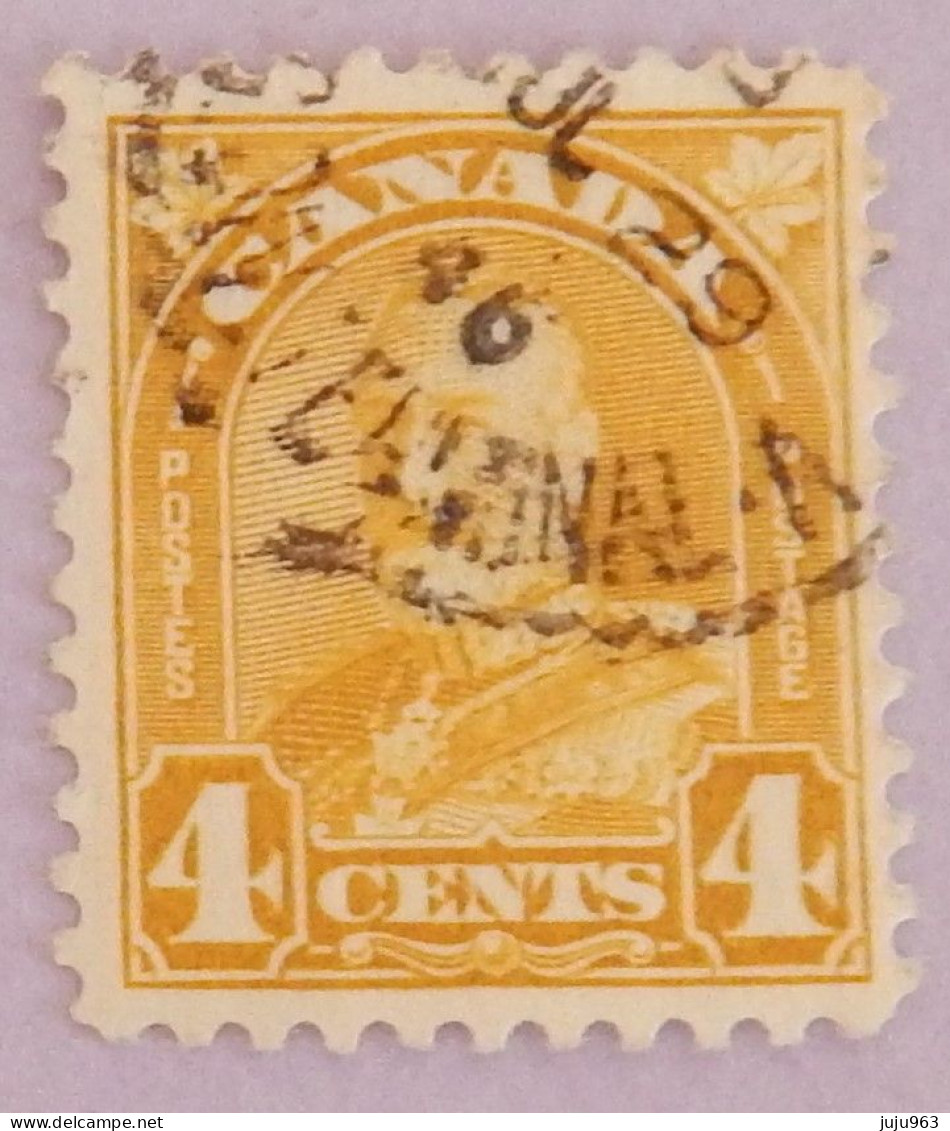 CANADA YT 146 OBLITÉRÉ "GEORGE V" ANNÉES 1930/1931 - Used Stamps