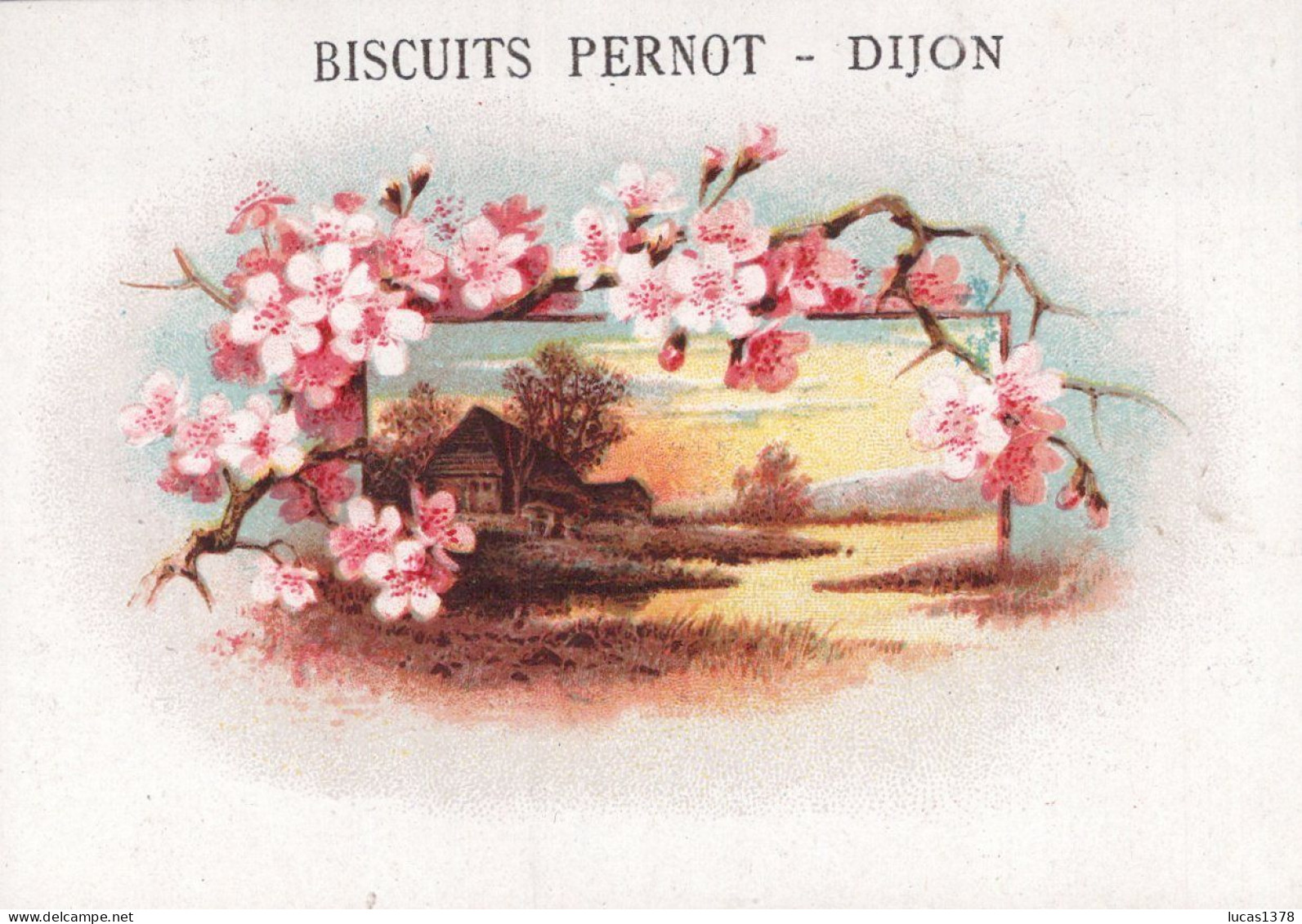 19 CHROMOS.Biscuits Pernot. Dijon / RARE ET TRES JOLI LOT / Paysages avec encadrement fleurs