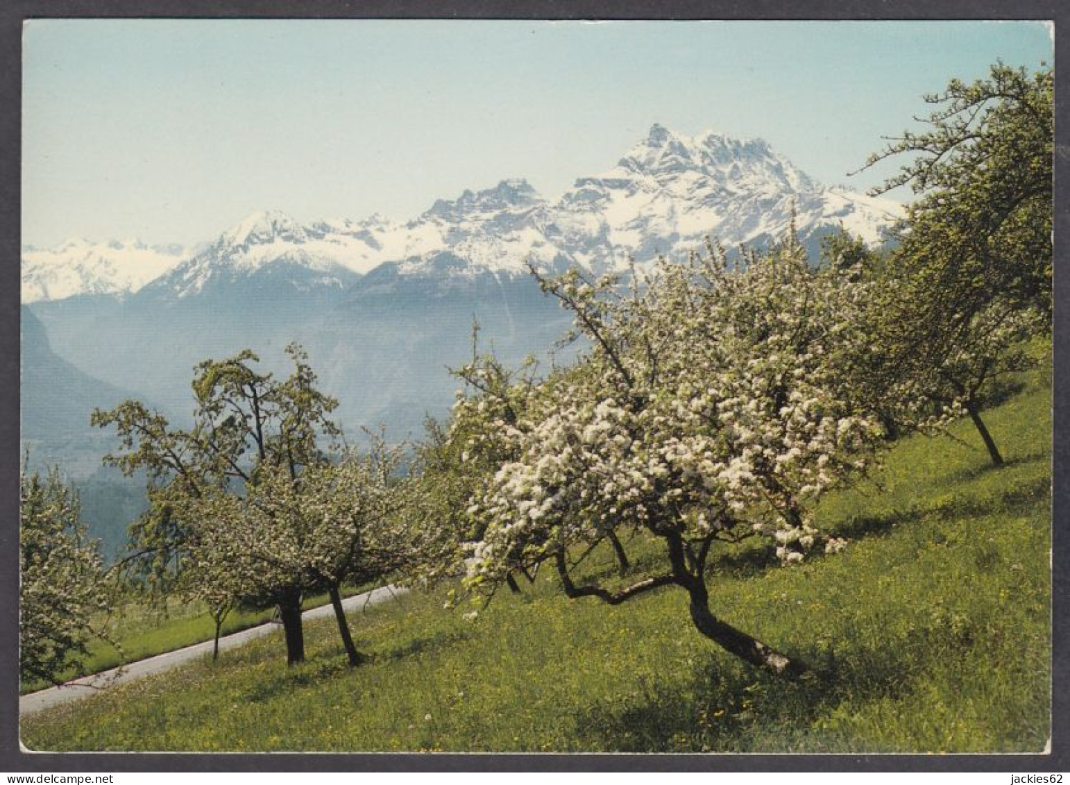 130706/ HUÉMOZ, Les Dents-du-Midi - Ollon