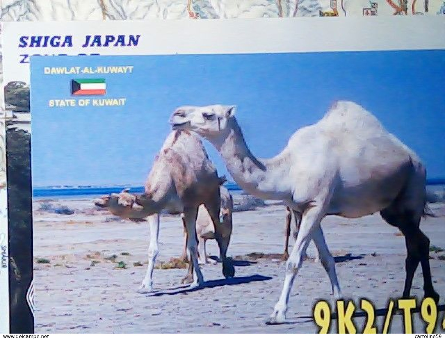 QSL KUWAYT KUWAIT CAMELUS  DROMEDARY ARABIAN CAMEL  2003  JV5419 - Koeweit