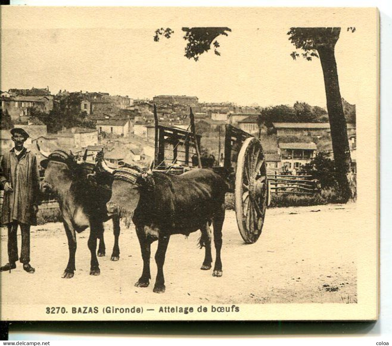 Album Souvenir De Bazas 12 Cartes Postales Détachables - Bazas