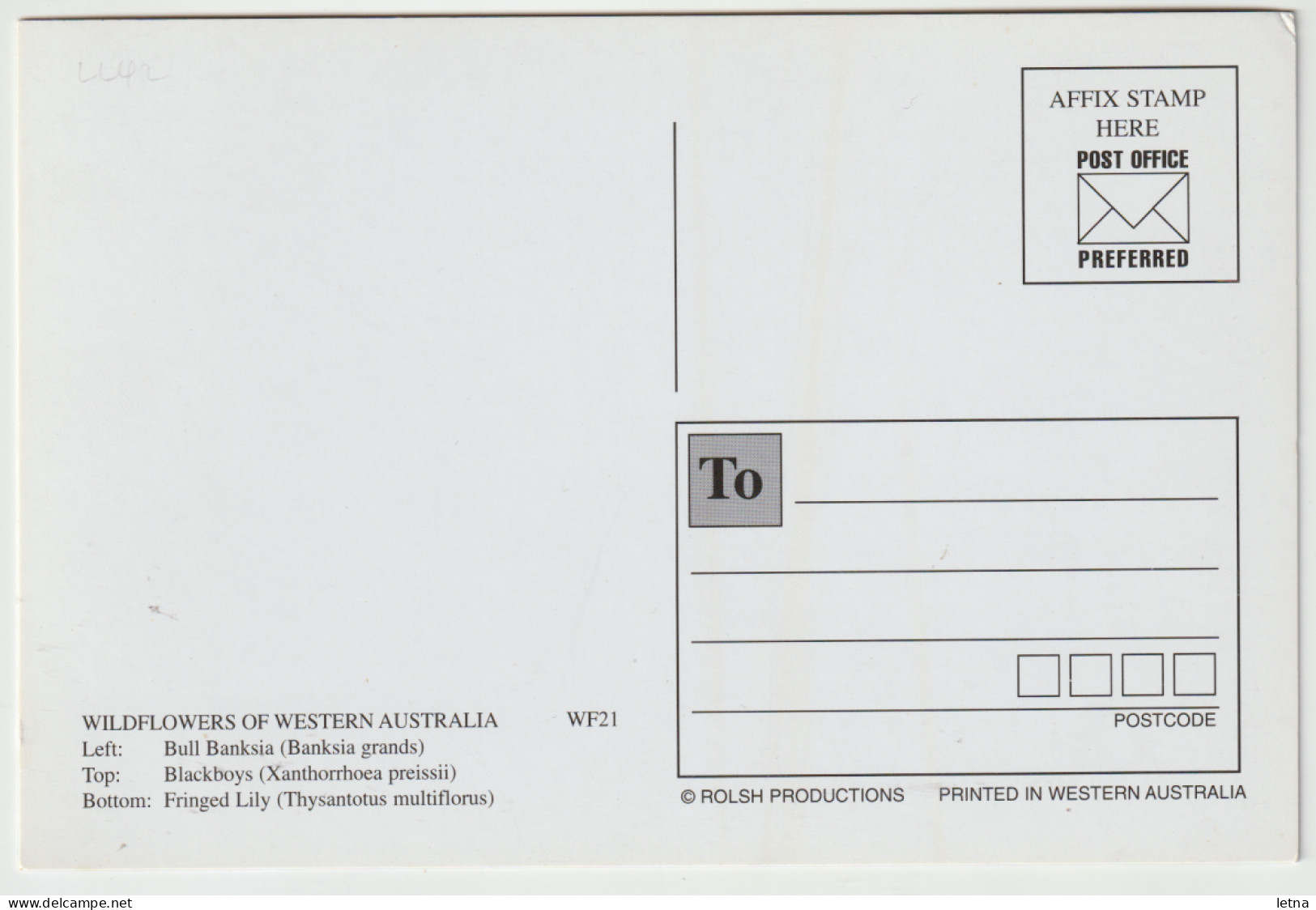 WESTERN AUSTRALIA Wildflowers Of WA Rolsh WF21 Multiview Postcard C1980s - Sonstige & Ohne Zuordnung