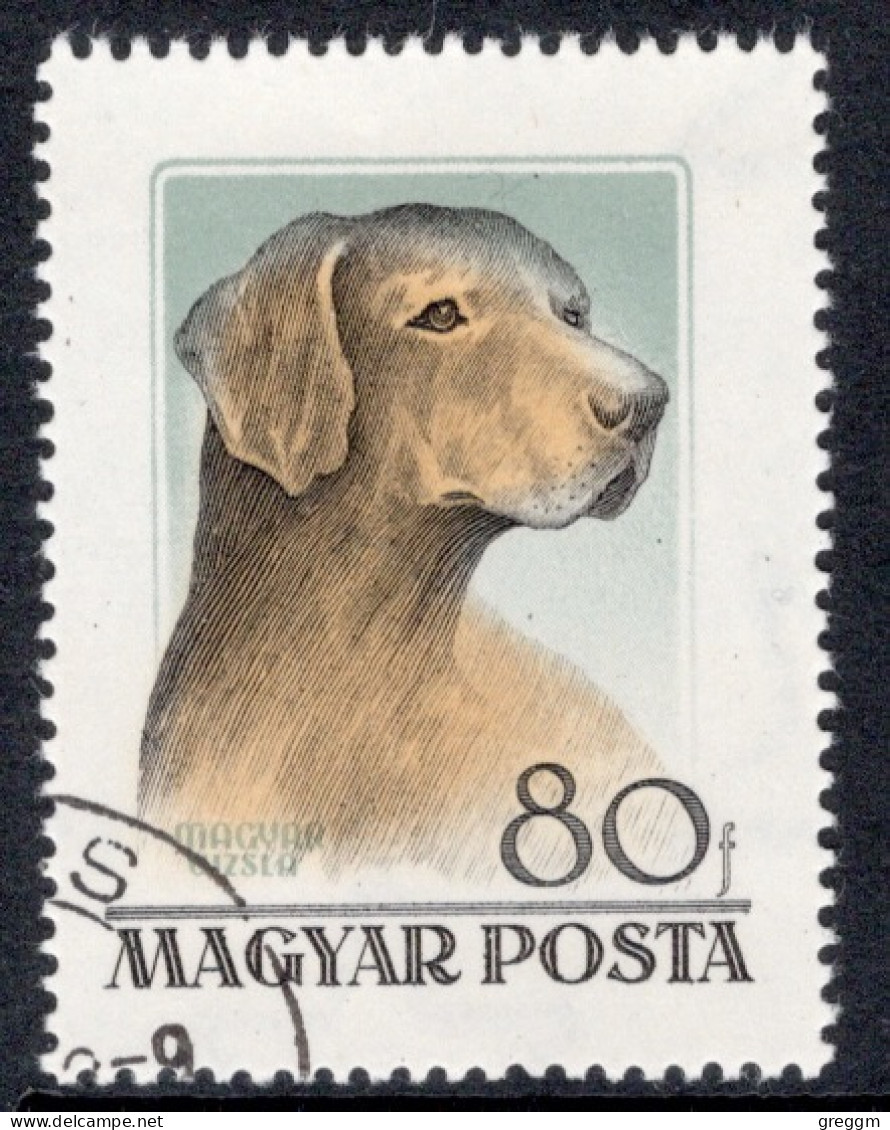 Hungary 1956 Single Stamp Showing Hungarian Dogs In Fine Used - Used Stamps