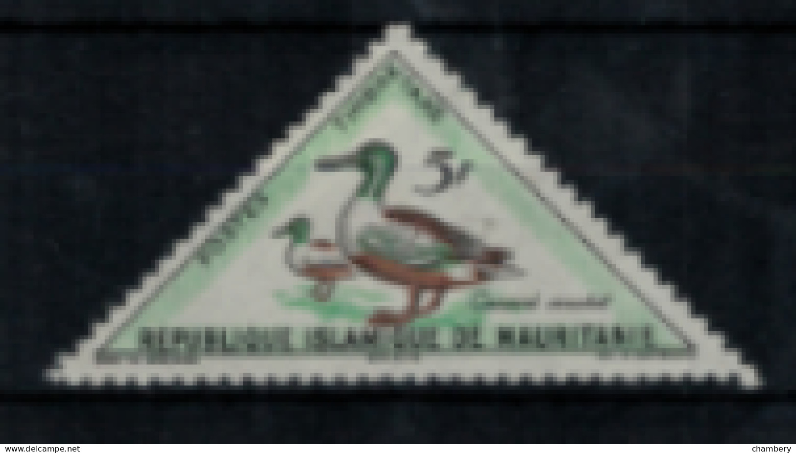 Mauritanie - Taxe" - Oiseaux : Canard Souchet" - Neuf 1* N° 41 De 1963 - Mauritanie (1960-...)