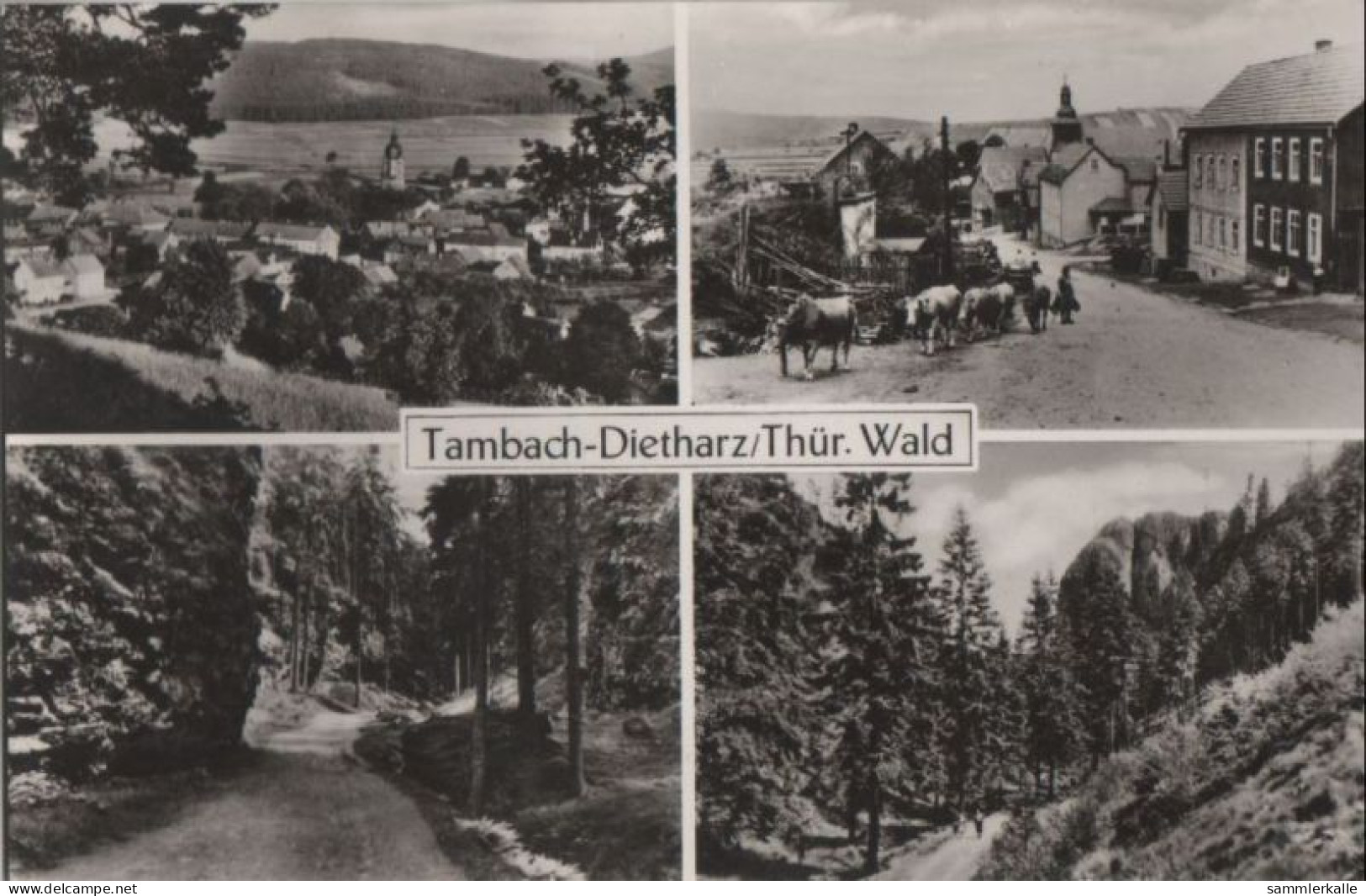 112743 - Tambach-Dietharz - 4 Bilder - Tambach-Dietharz