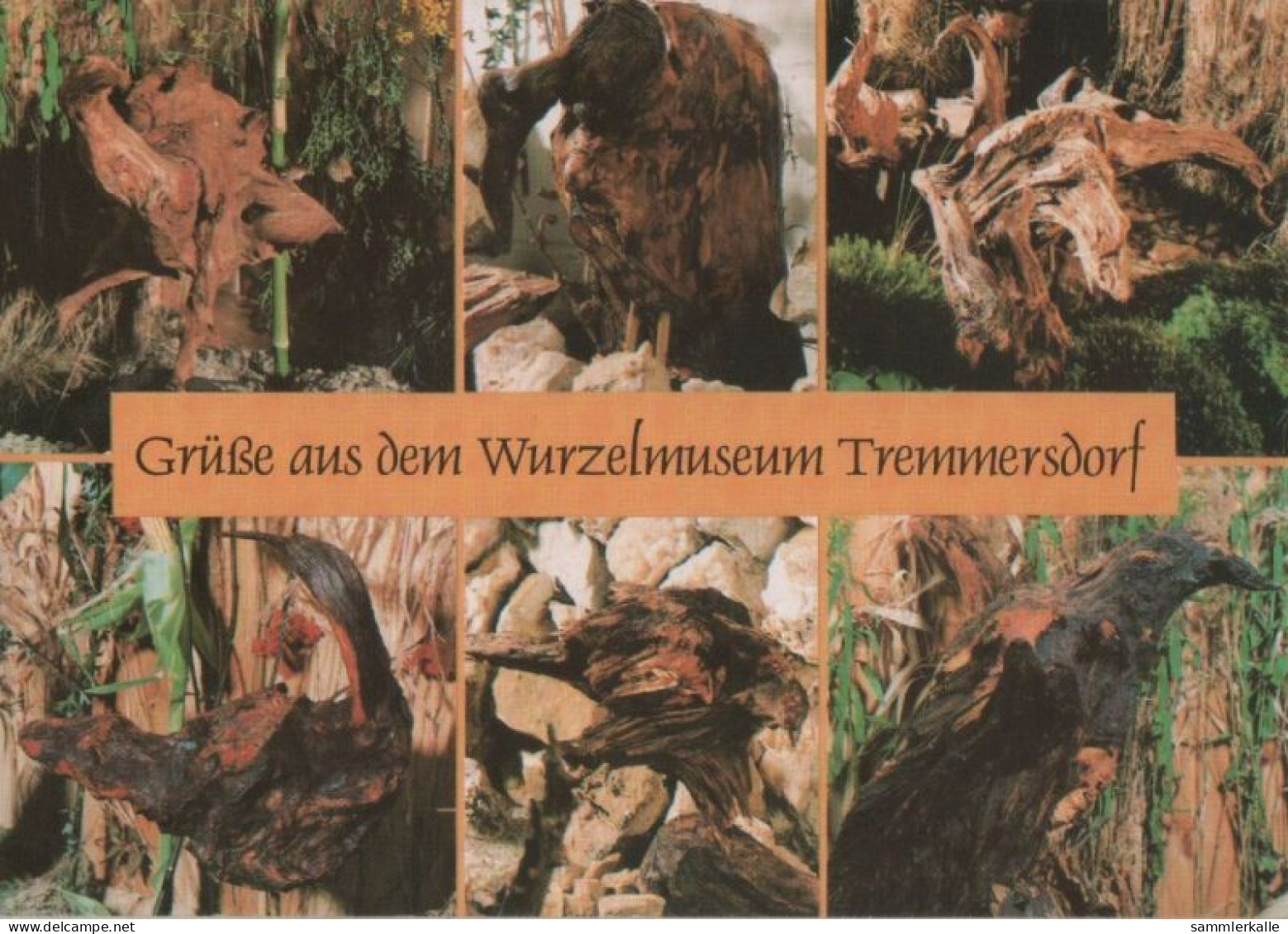 65182 - Speinshart-Tremmersdorf - Wurzelmusuem - Ca. 1995 - Neustadt Waldnaab