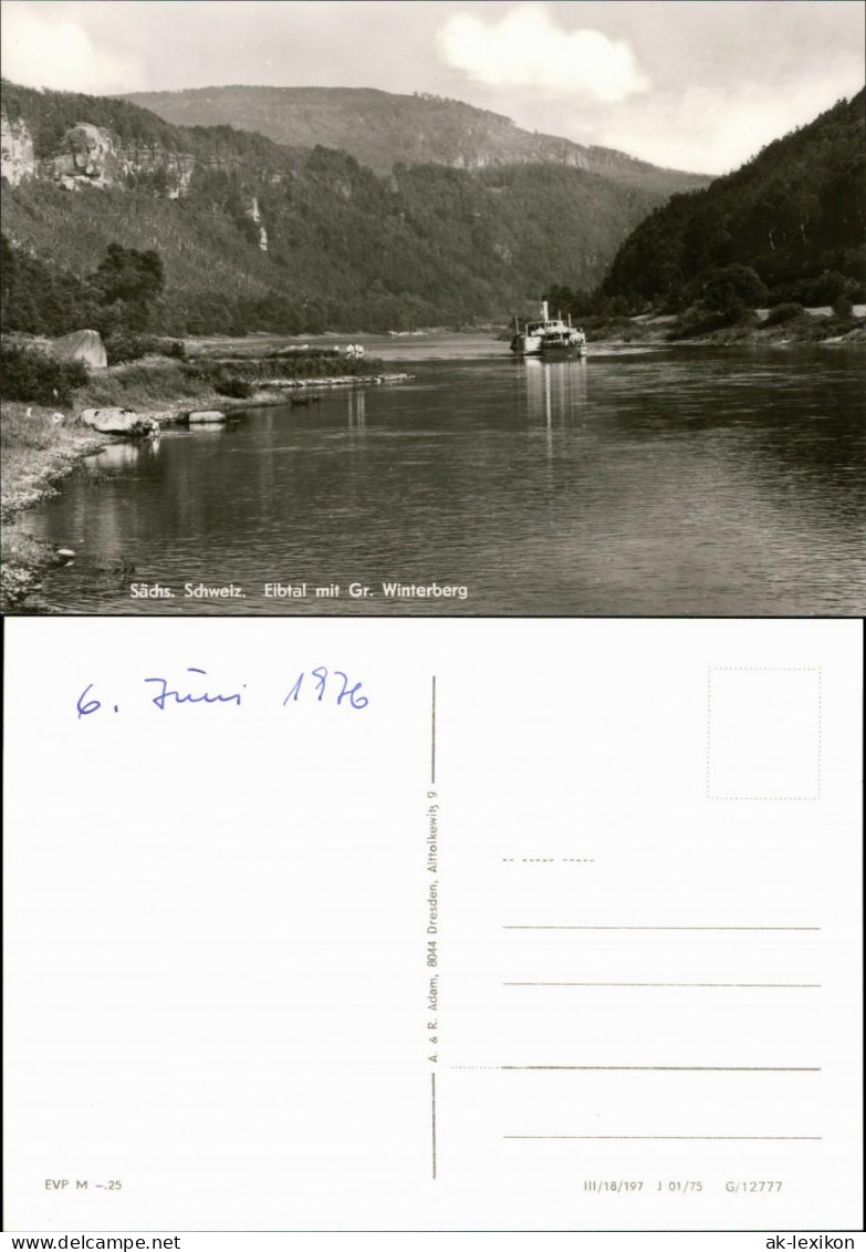 Ansichtskarte Schmilka Elbtal Mit Gr. Winterberg, Elbdampfer 1975 - Schmilka